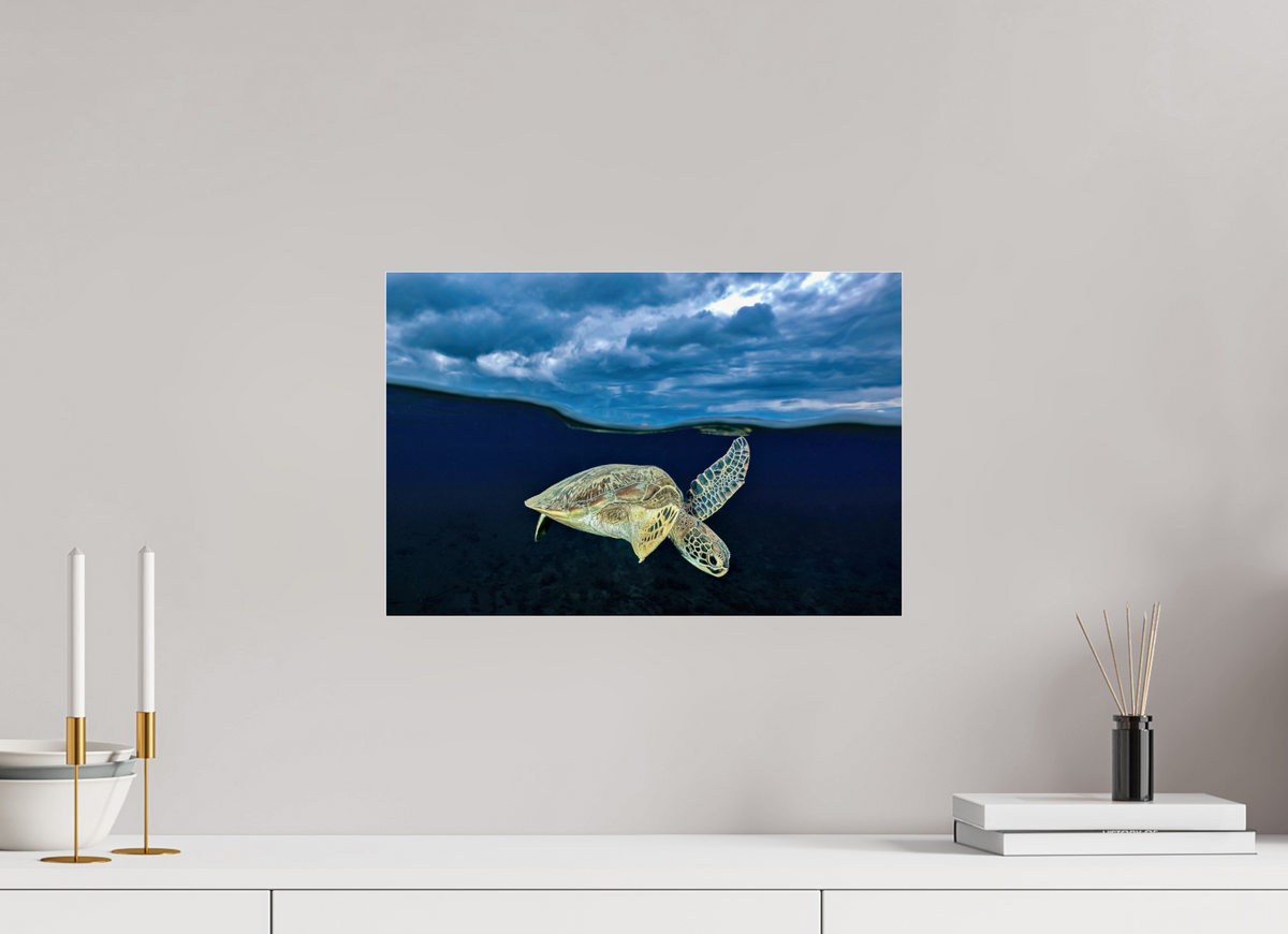 45 x 30 cm, Photo Print Under Acrylic Glass Surface