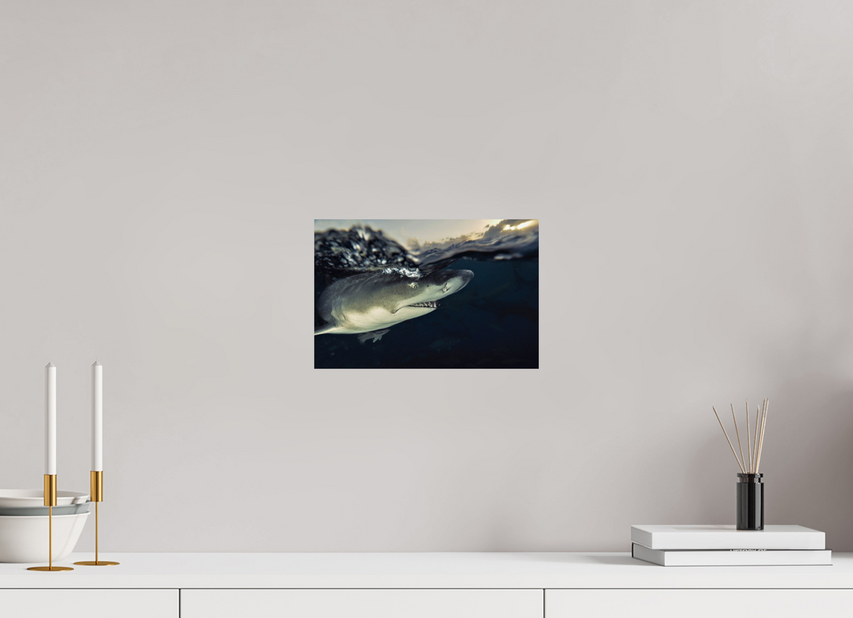 30 x 20 cm, Photo Print On Fuji Crystal DP II Bahamas Spirit