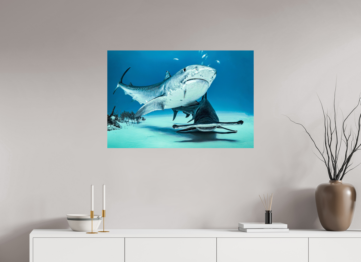 90 x 60 cm, Photo Print On Fuji Crystal DP II Two queens for a Kingdom