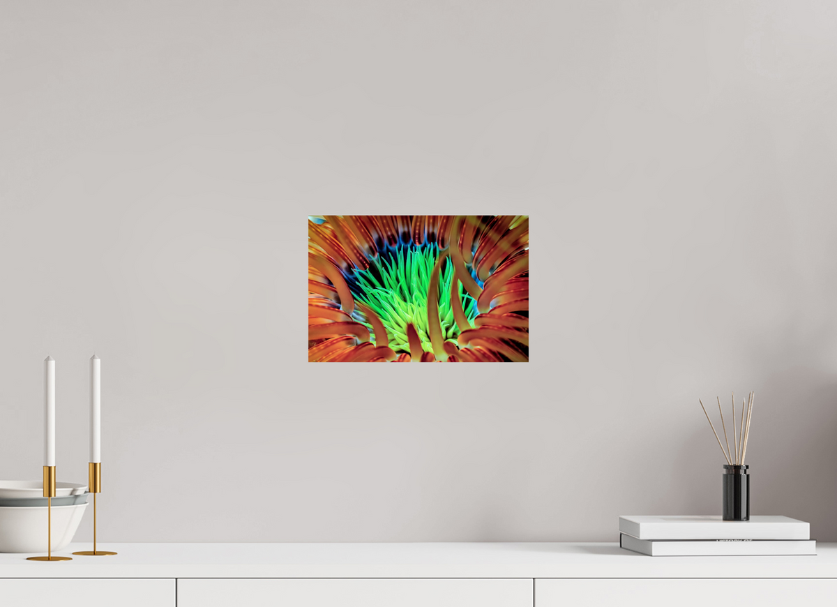 30 x 20 cm, Photo Print On Fuji Crystal DP II United colors