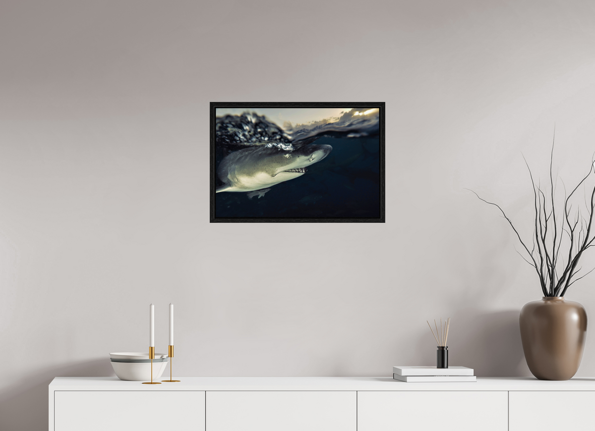 60 x 40 cm, Floater Frame Bahamas Spirit