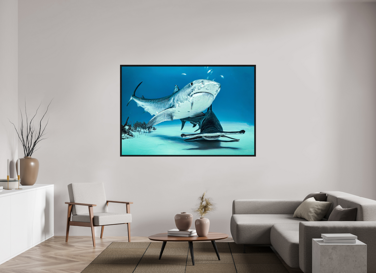 180 x 120 cm, Floater Frame Two queens for a Kingdom