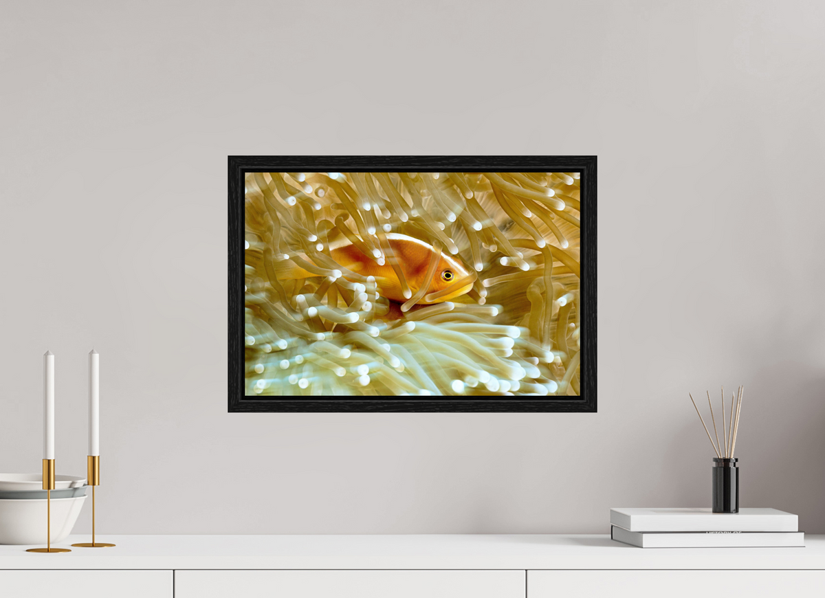 45 x 30 cm, Floater Frame Home
