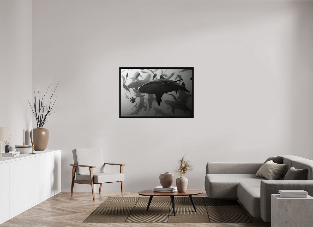120 x 80 cm, Floater Frame Bullshark Dance