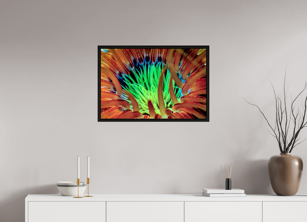75 x 50 cm, Floater Frame United colors