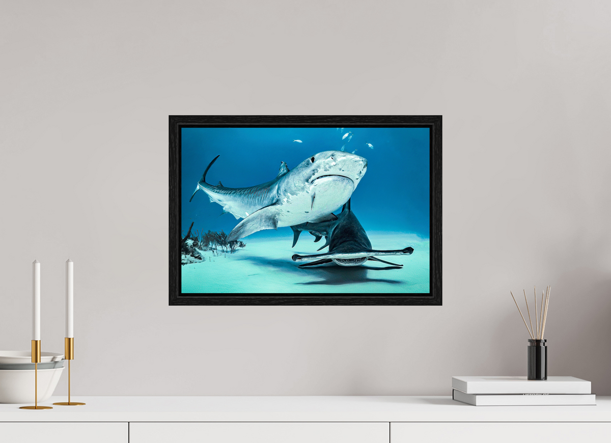 45 x 30 cm, Floater Frame Two queens for a Kingdom