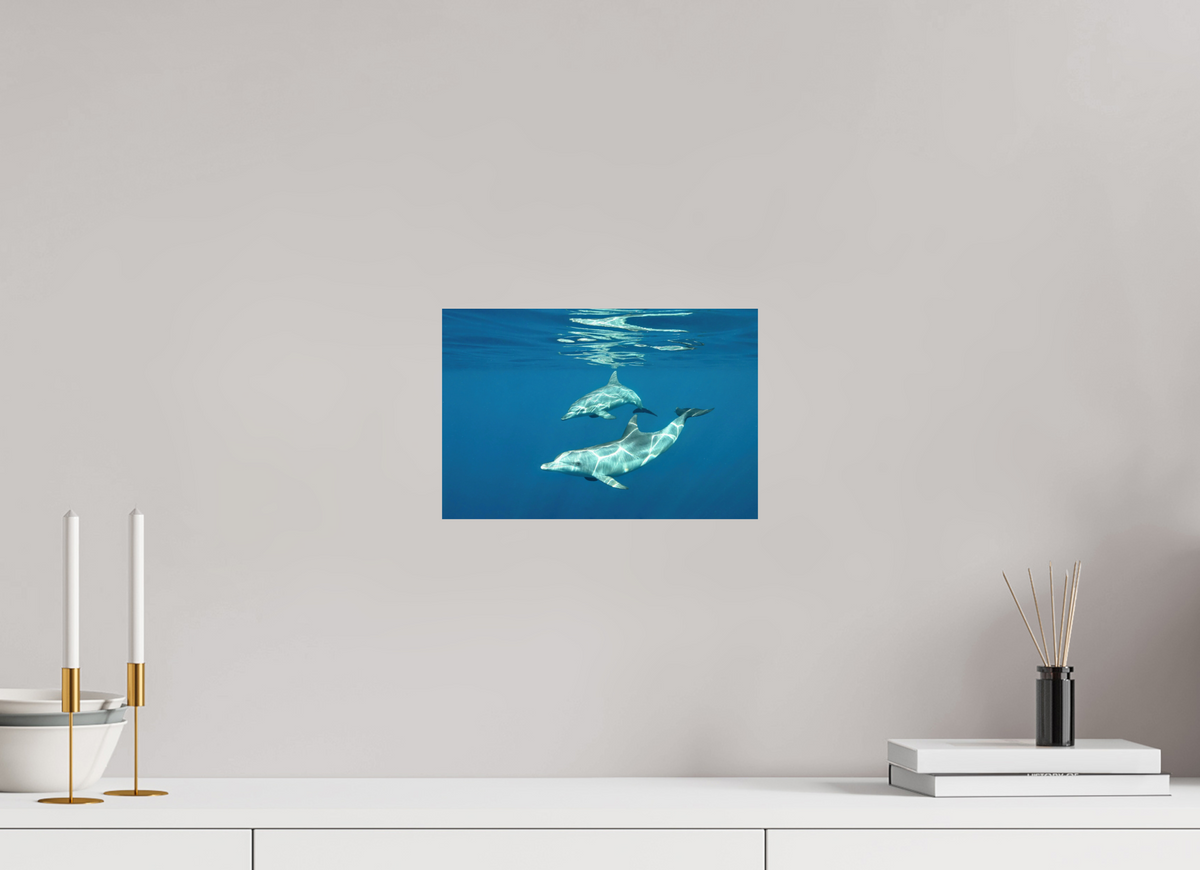 30 x 20 cm, Photo Print On Fuji Crystal DP II Presentation
