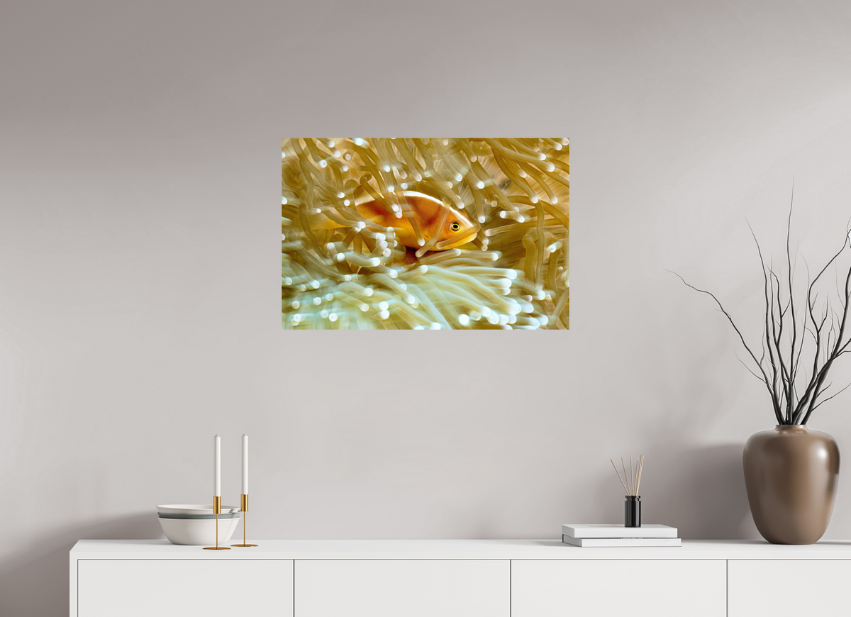75 x 50 cm, Photo Print On Fuji Crystal DP II Home