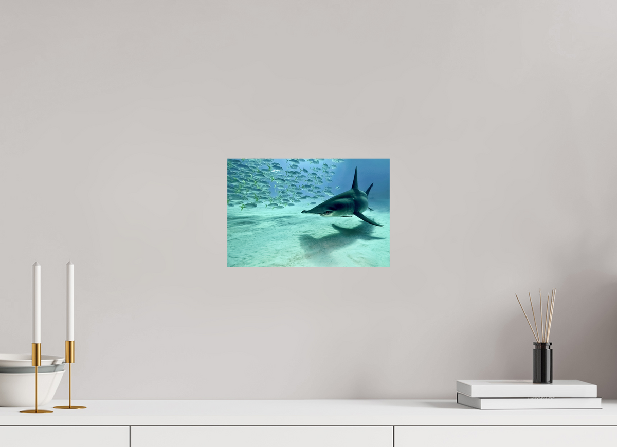 30 x 20 cm, Photo Print On Fuji Crystal DP II The Shadow