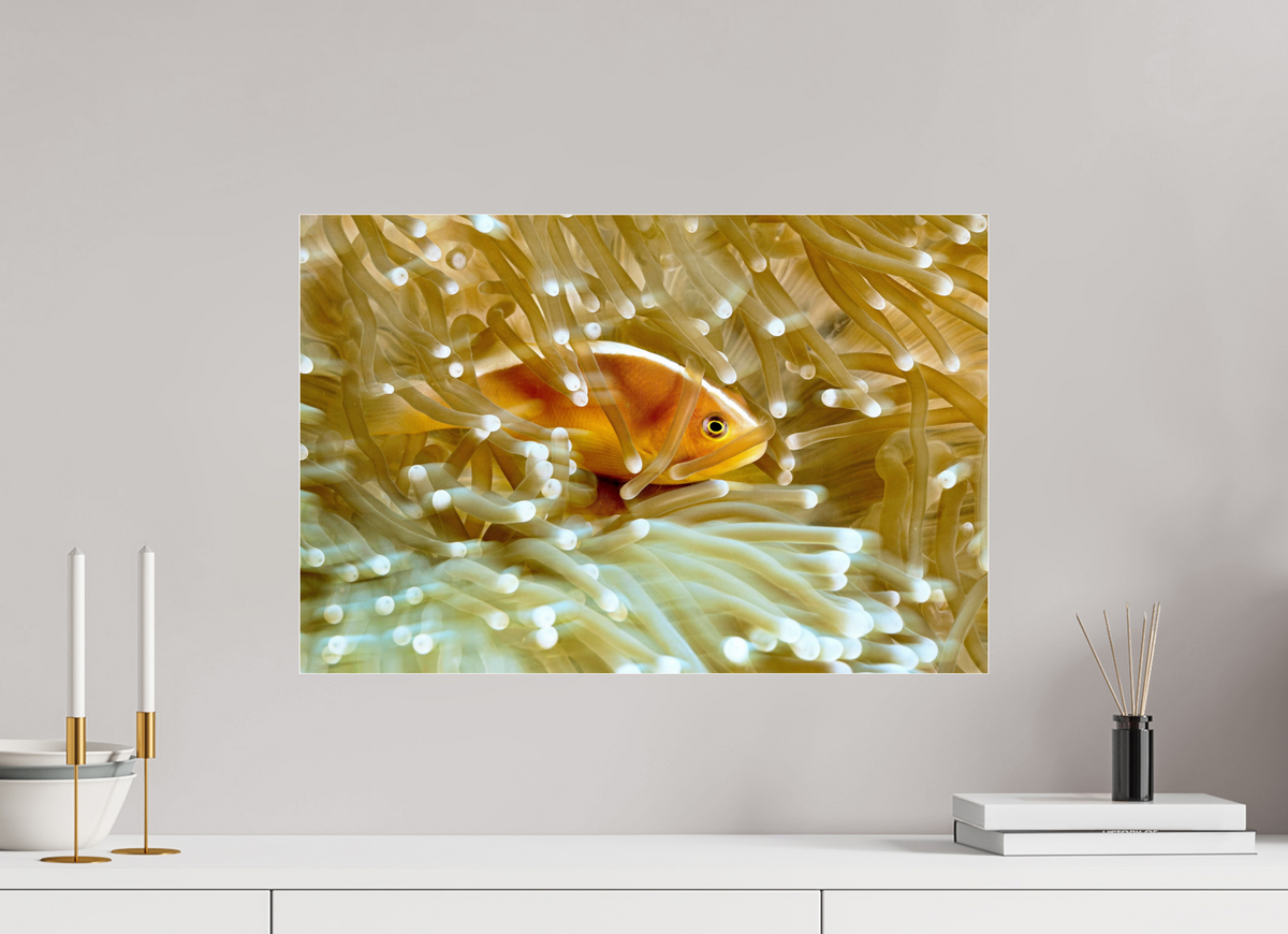 60 x 40 cm, Photo Print Under Acrylic Glass Home