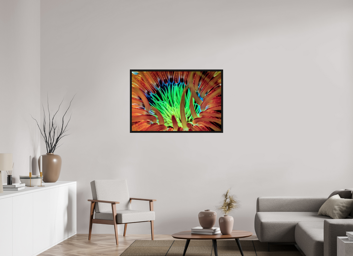 105 x 70 cm, Floater Frame United colors