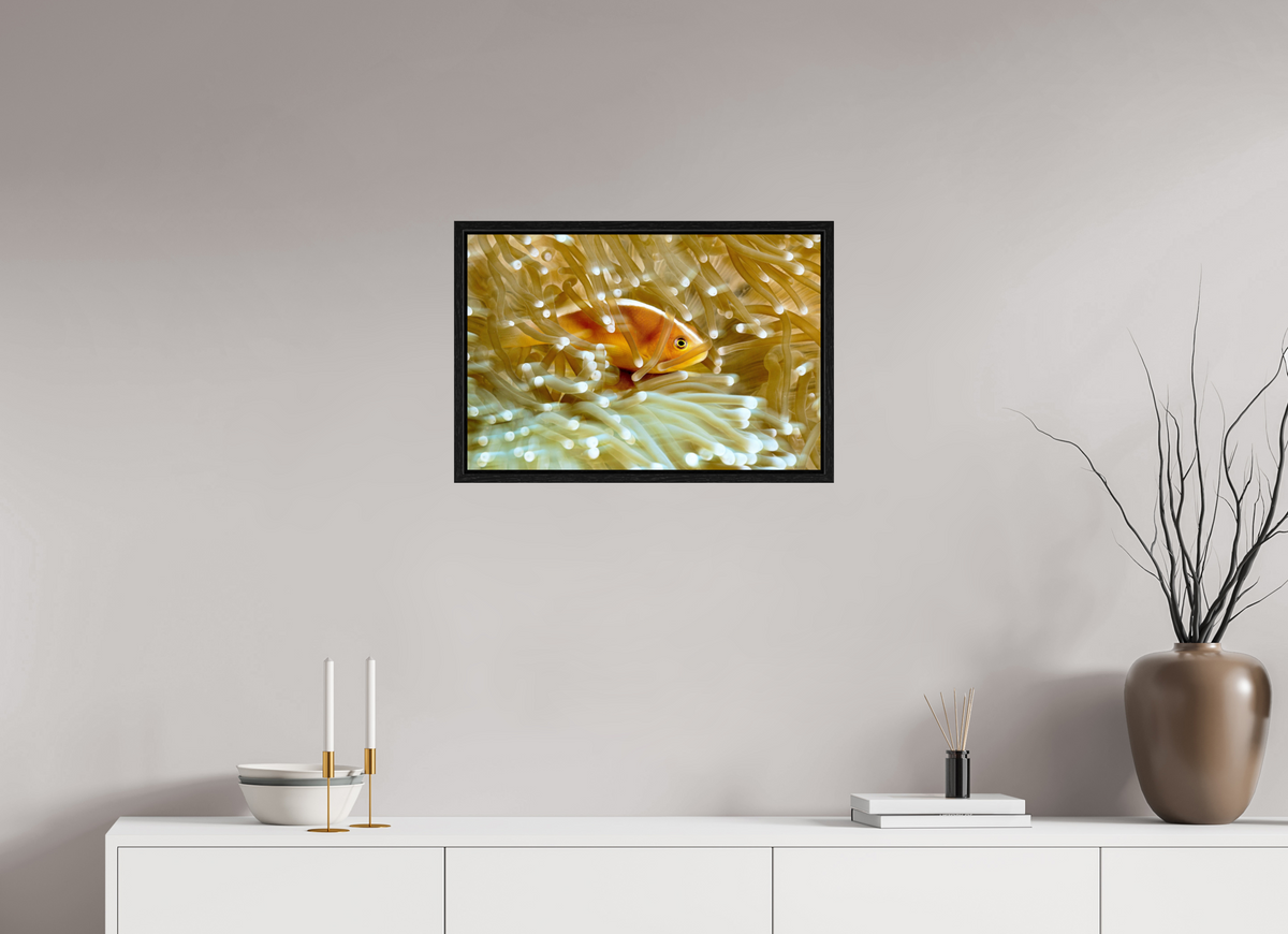 60 x 40 cm, Floater Frame Home