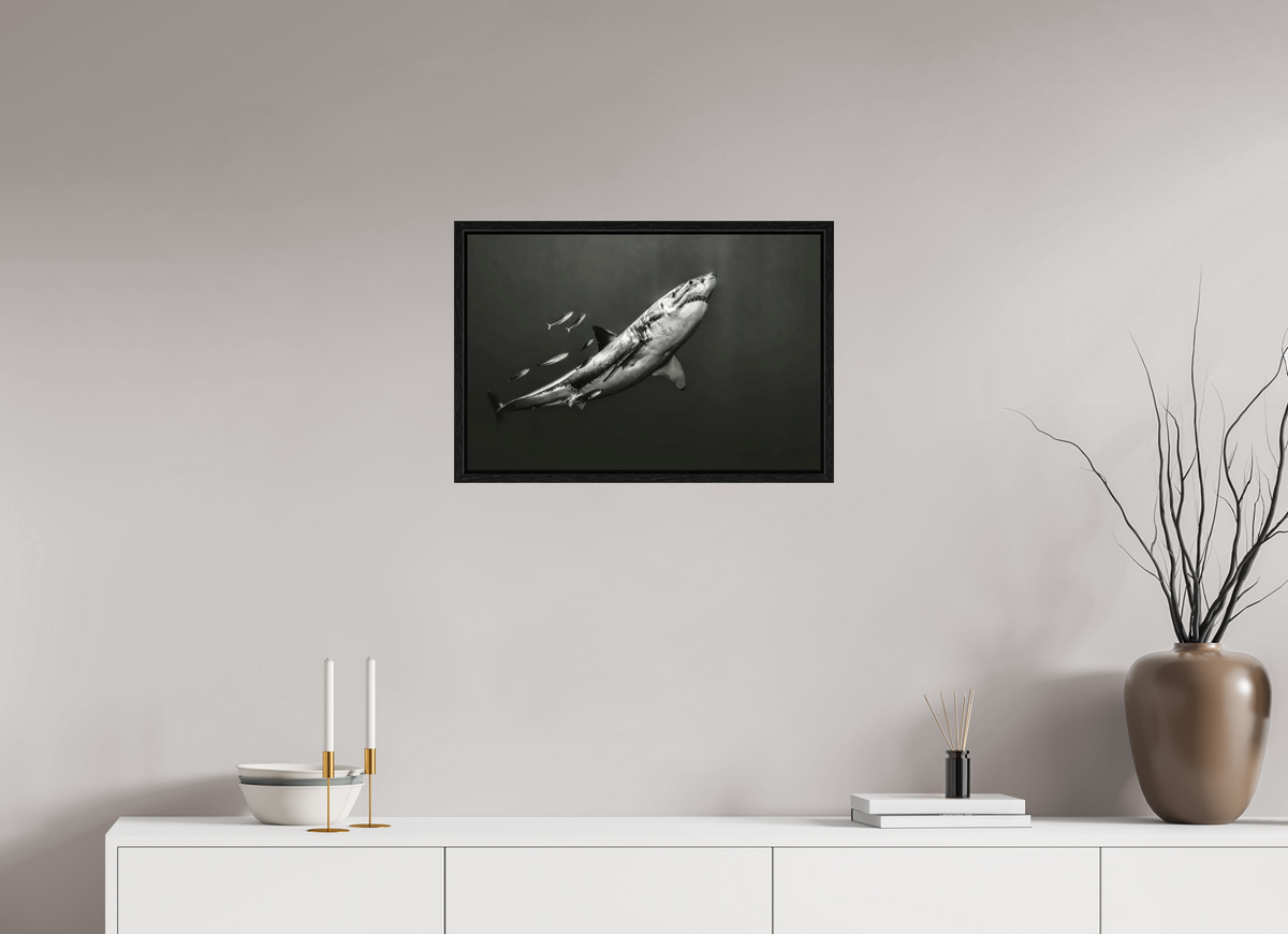 60 x 40 cm, Floater Frame The Great White