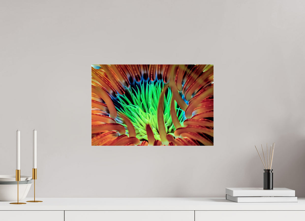 45 x 30 cm, Photo Print Under Acrylic Glass United colors