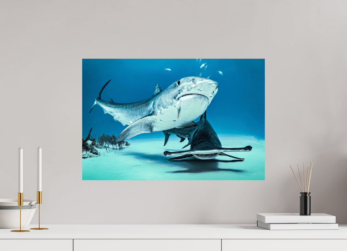60 x 40 cm, Photo Print On Fuji Crystal DP II Two queens for a Kingdom