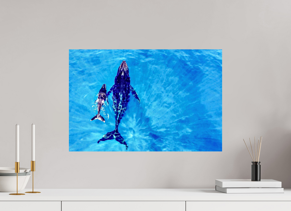 60 x 40 cm, Photo Print On Fuji Crystal DP II A bond in blue