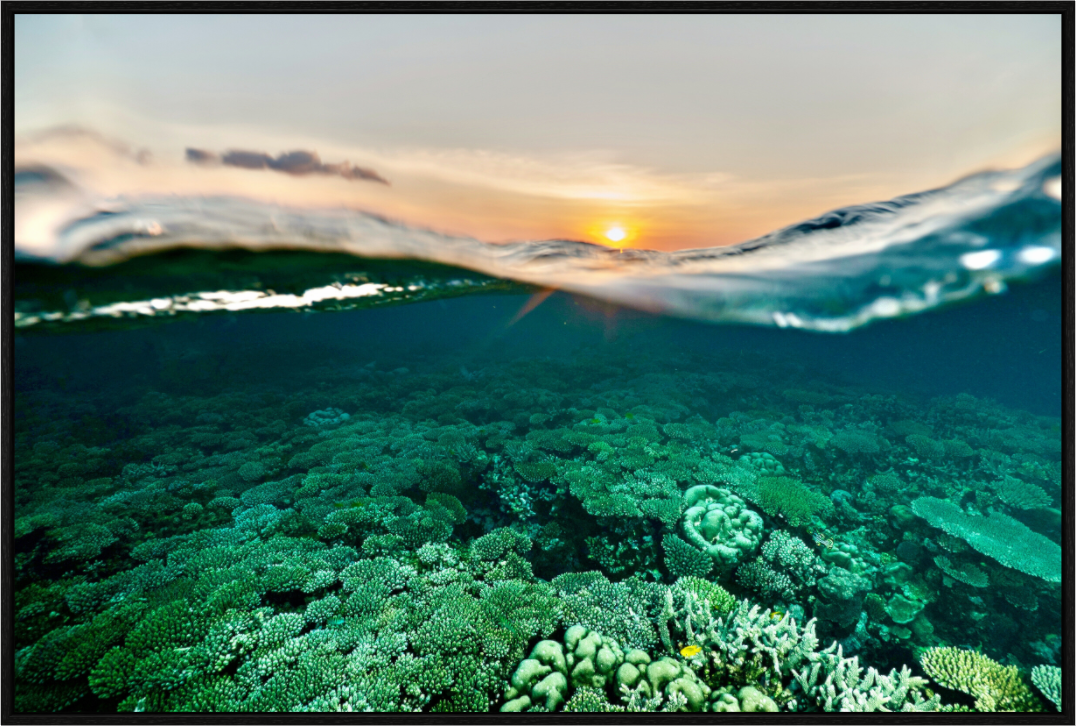 Main image Sunrise reef