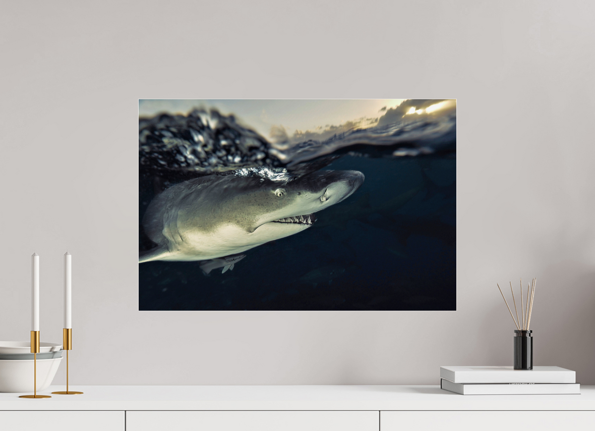 60 x 40 cm, Photo Print Under Acrylic Glass Bahamas Spirit