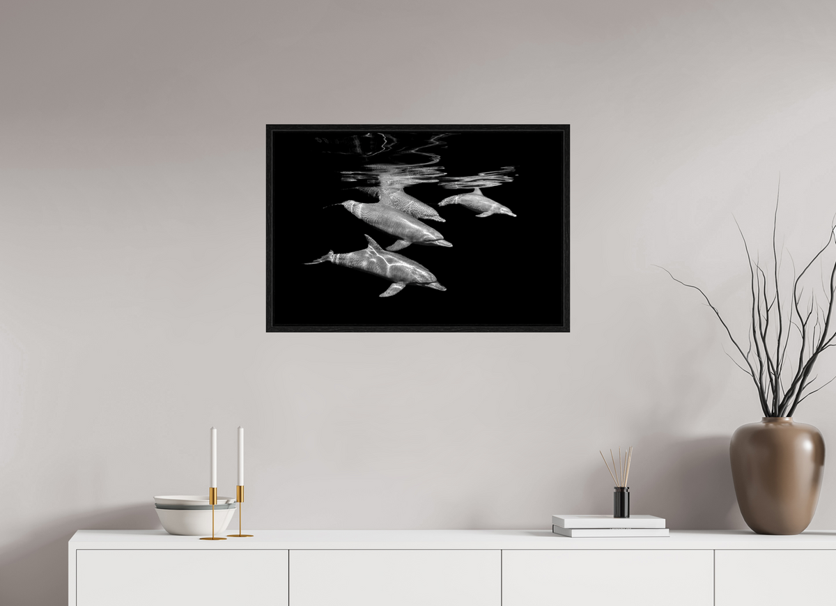 75 x 50 cm, Floater Frame Dressed by the Sea