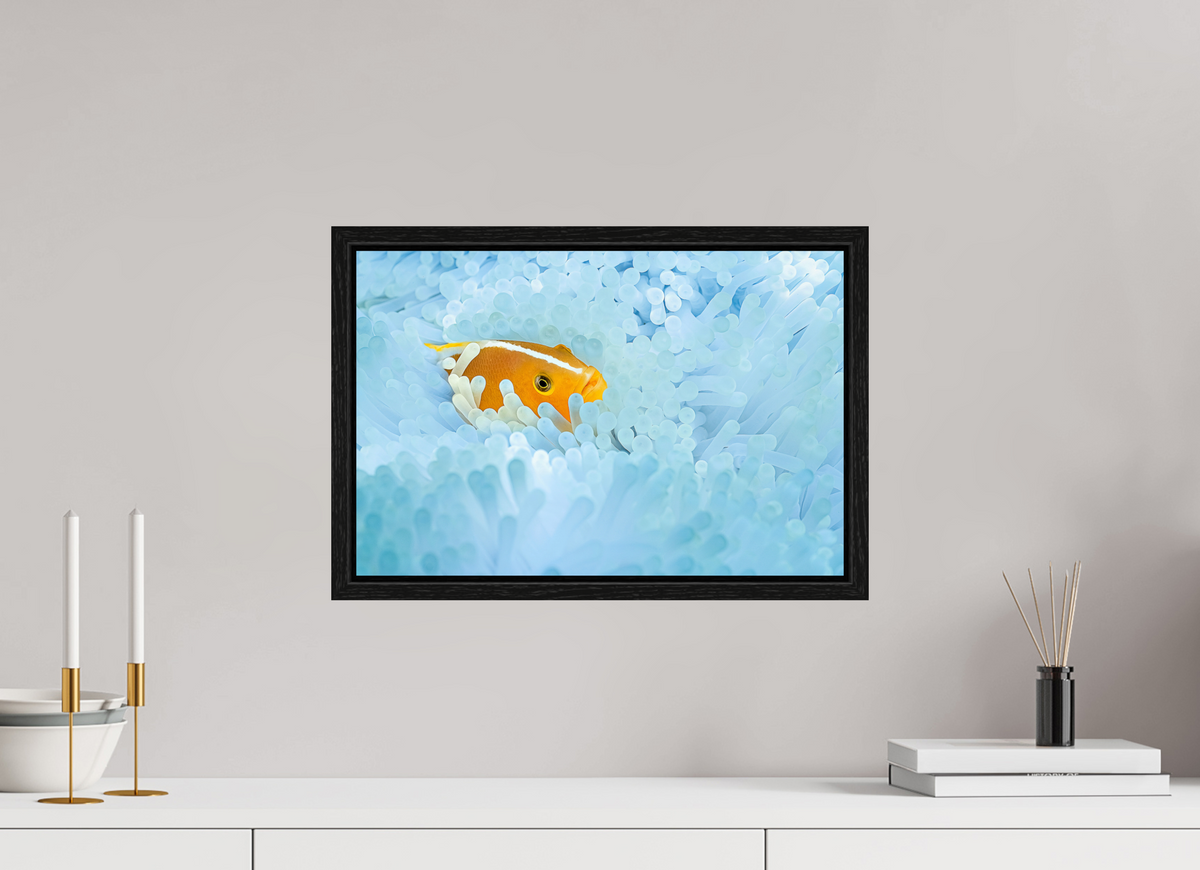 45 x 30 cm, Floater Frame Bleaching