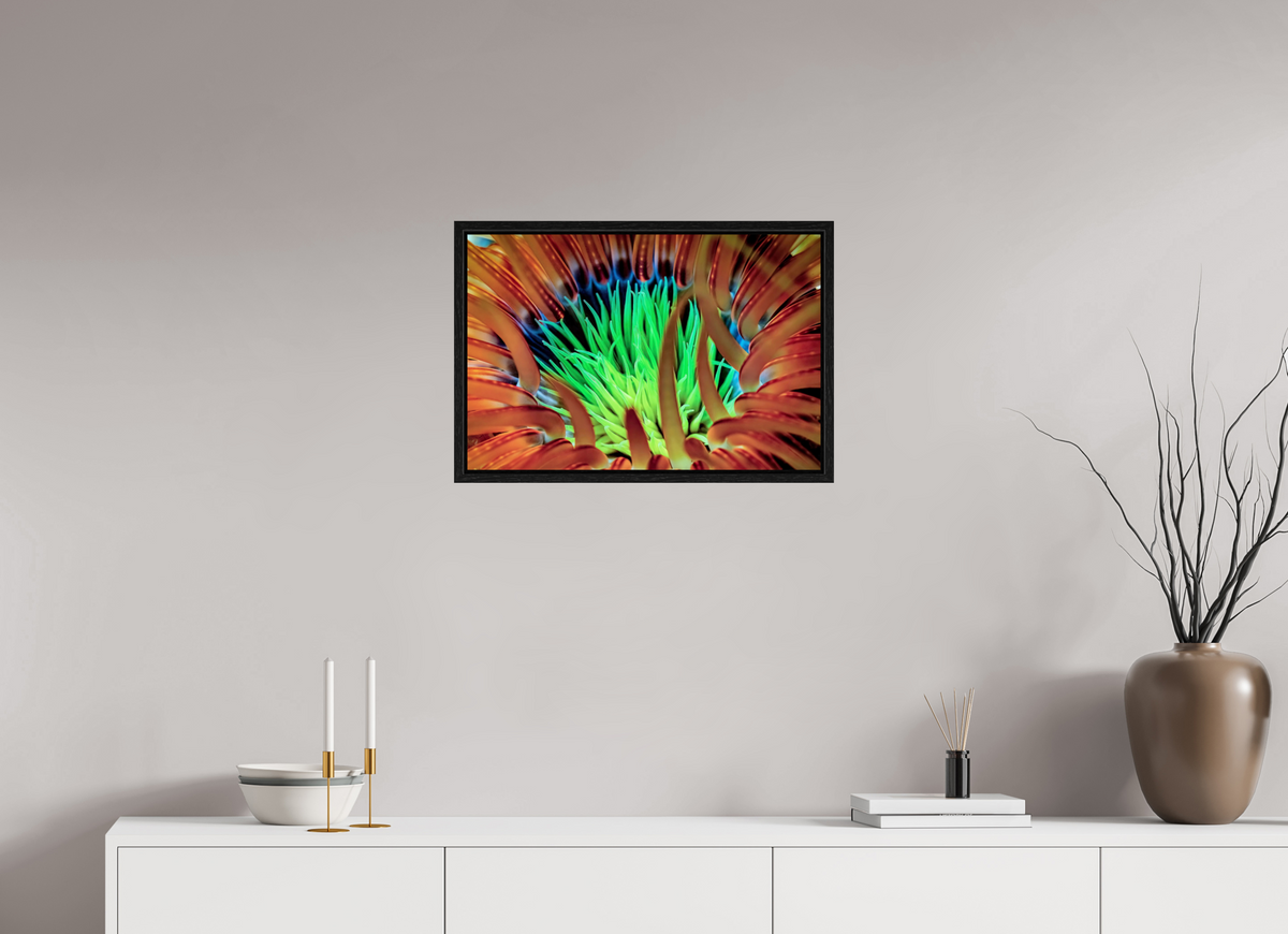 60 x 40 cm, Floater Frame United colors