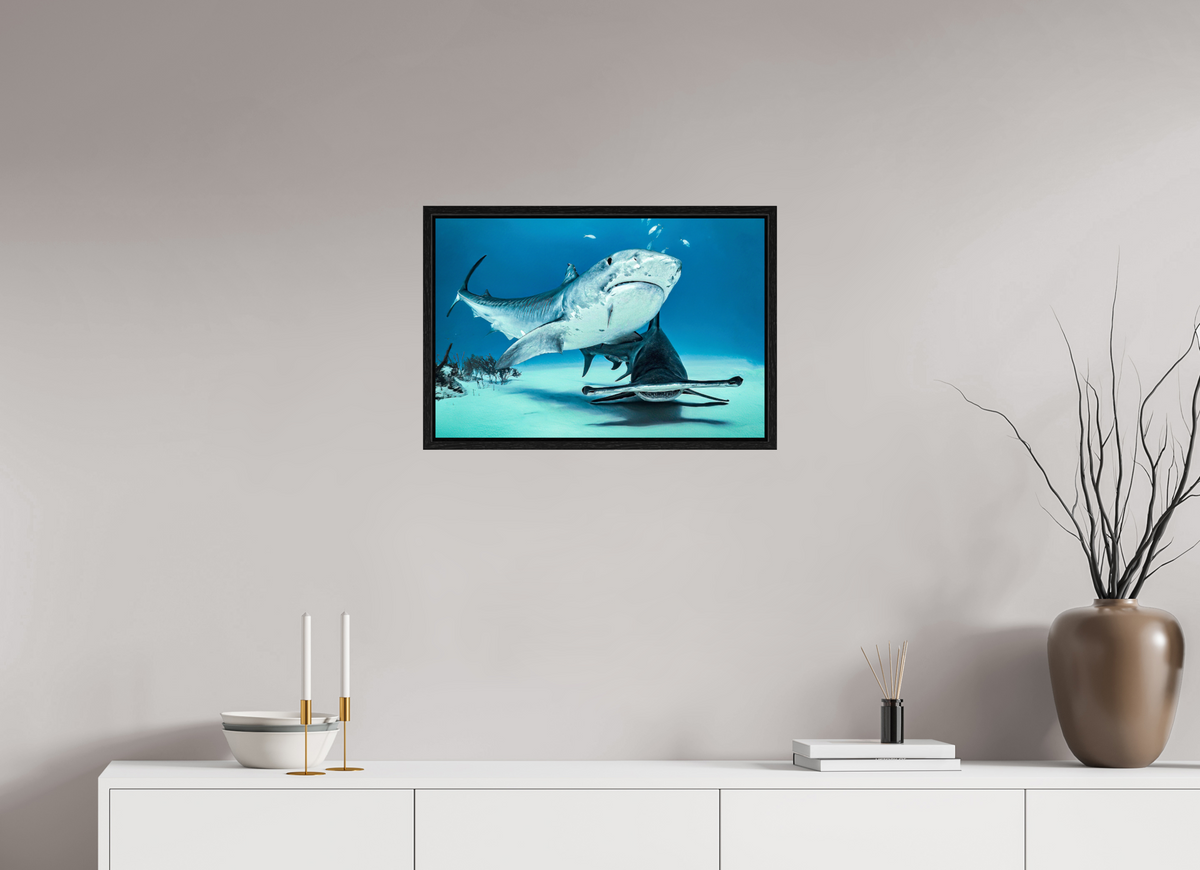 60 x 40 cm, Floater Frame Two queens for a Kingdom