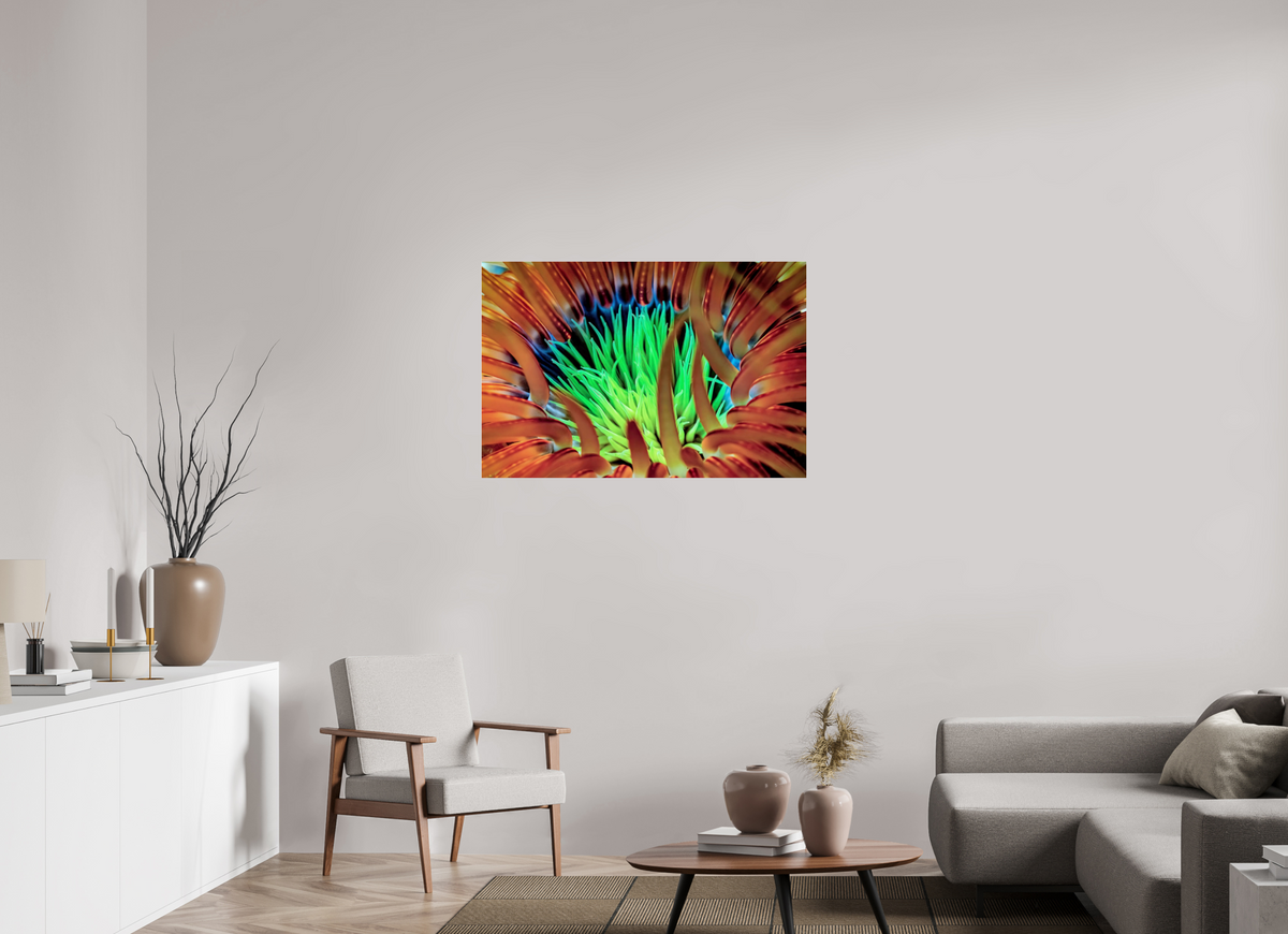 105 x 70 cm, Photo Print Under Acrylic Glass United colors
