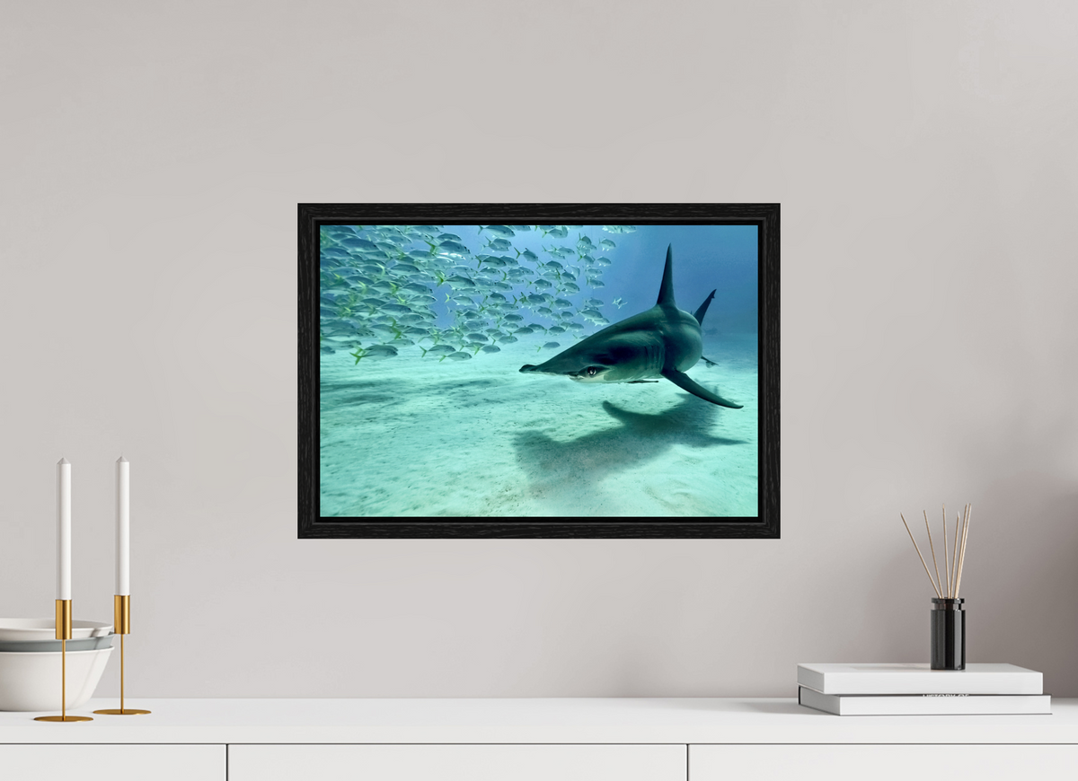 45 x 30 cm, Floater Frame The Shadow