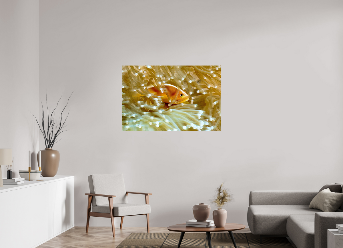 120 x 80 cm, Photo Print On Fuji Crystal DP II Home