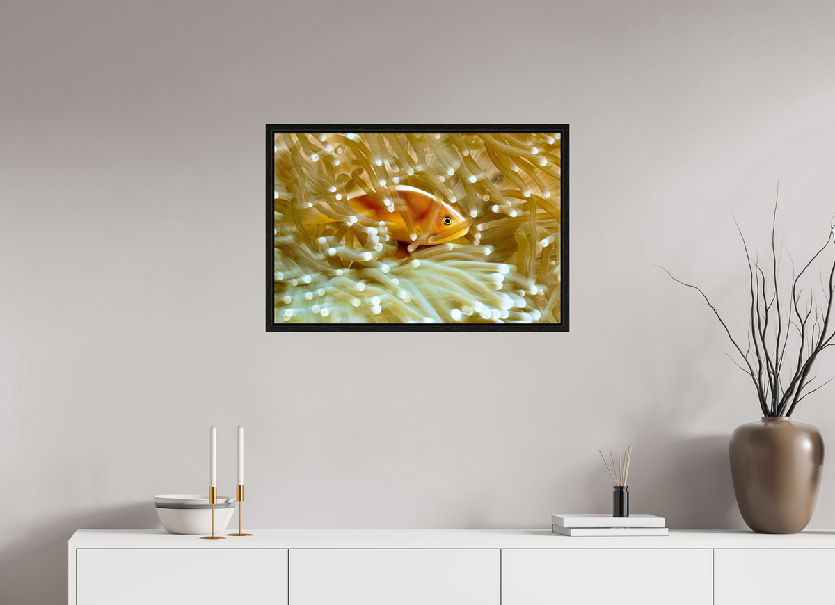 75 x 50 cm, Floater Frame Home