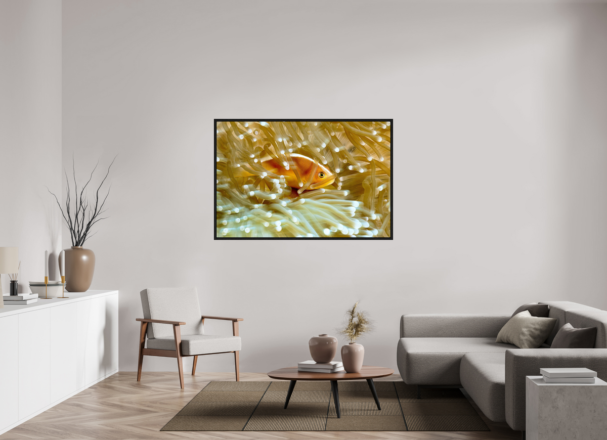 150 x 100 cm, Floater Frame Home