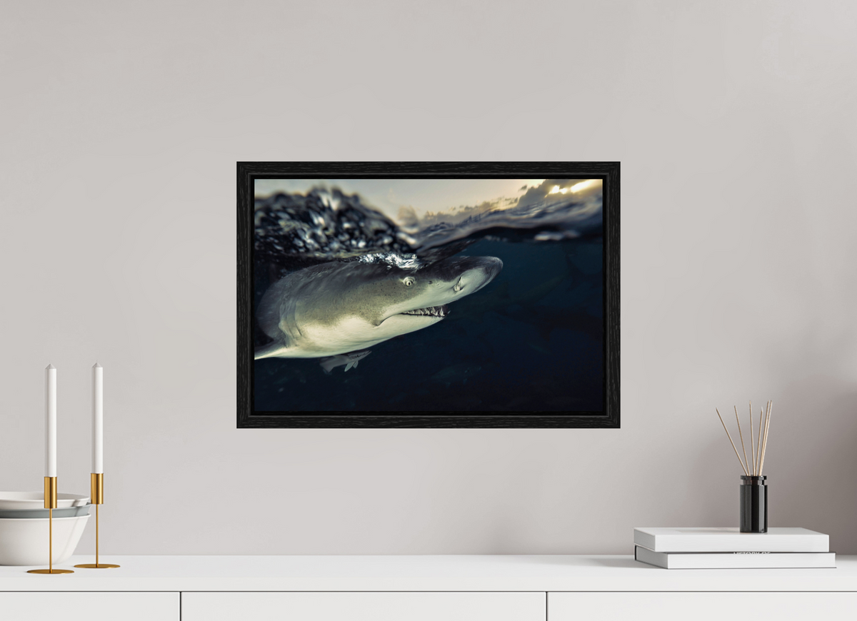 45 x 30 cm, Floater Frame Bahamas Spirit
