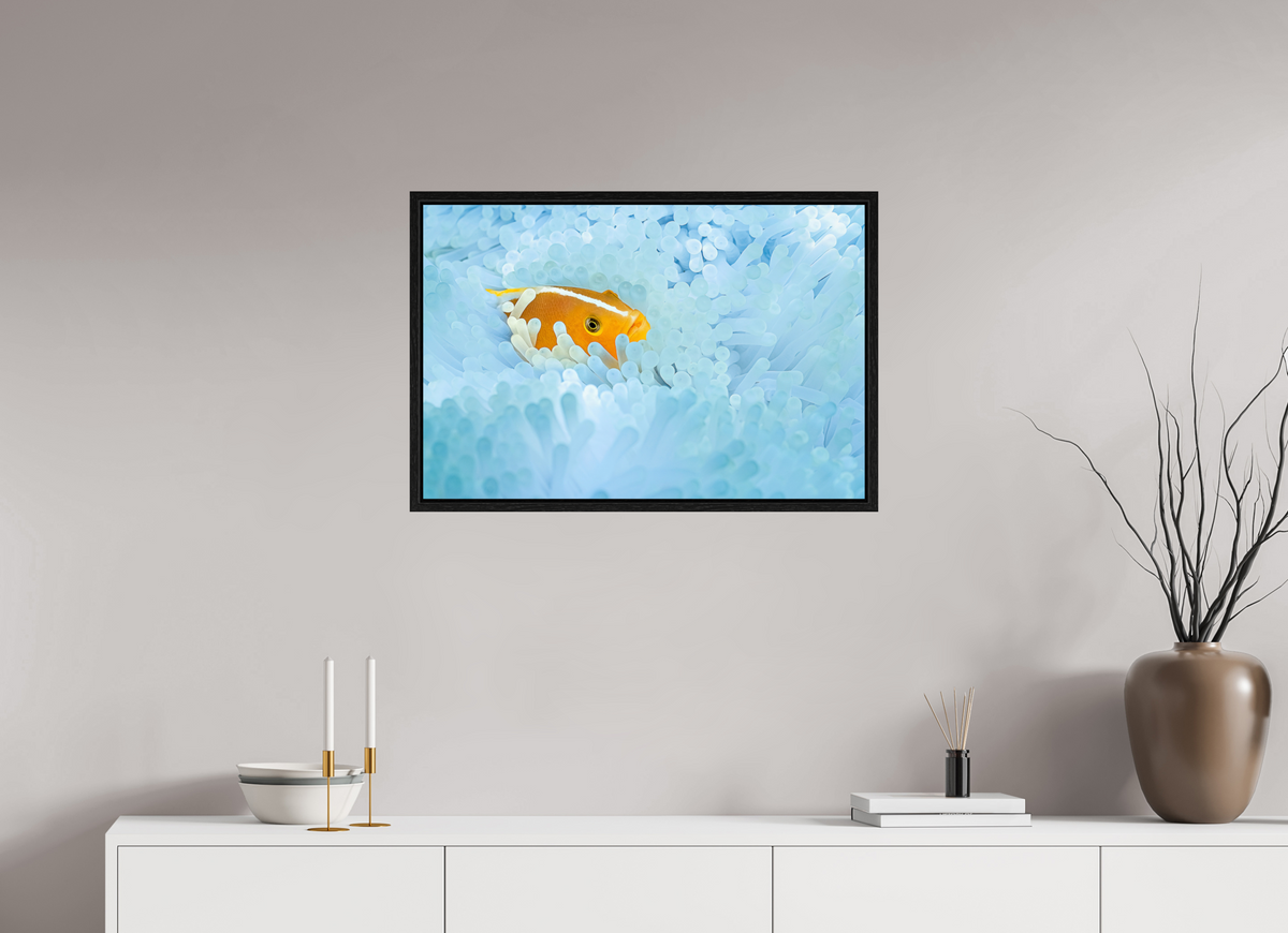 75 x 50 cm, Floater Frame Bleaching