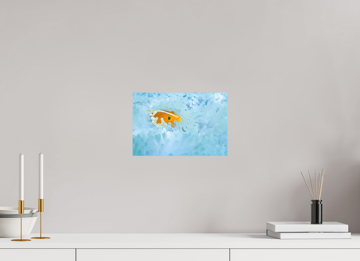 30 x 20 cm, Photo Print On Fuji Crystal DP II Bleaching