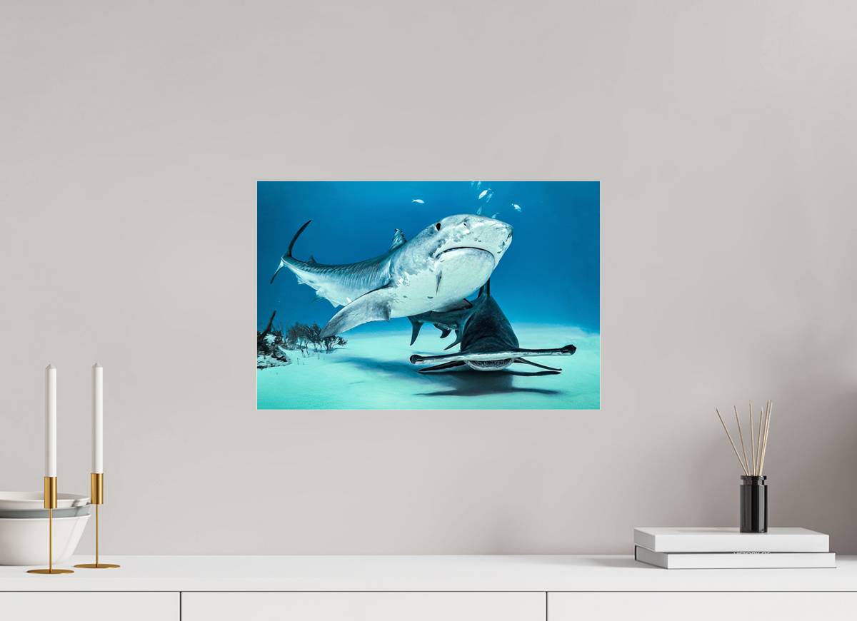 45 x 30 cm, Photo Print Under Acrylic Glass Two queens for a Kingdom