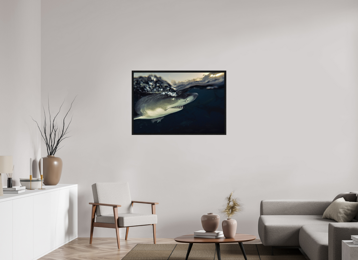 105 x 70 cm, Floater Frame Bahamas Spirit