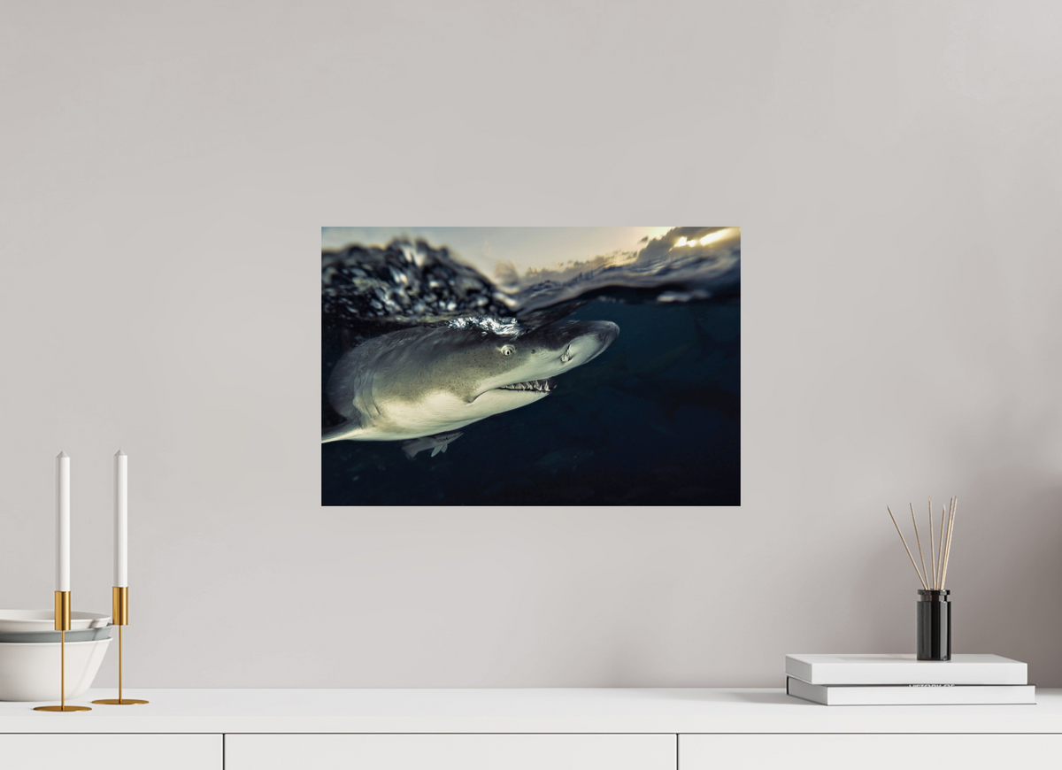 45 x 30 cm, Photo Print On Fuji Crystal DP II Bahamas Spirit