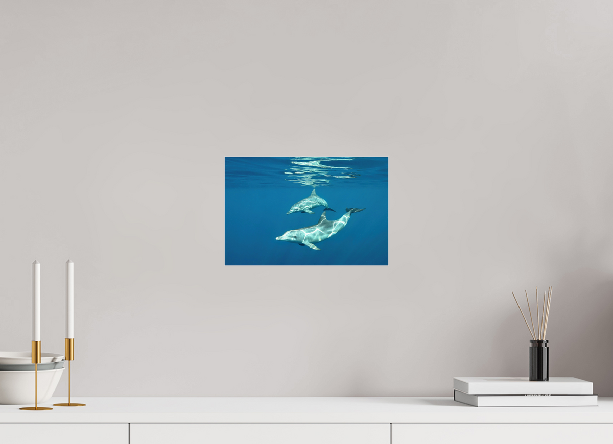 30 x 20 cm, Photo Print Under Acrylic Glass Presentation