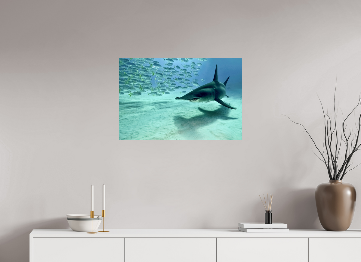 75 x 50 cm, Photo Print Under Acrylic Glass The Shadow