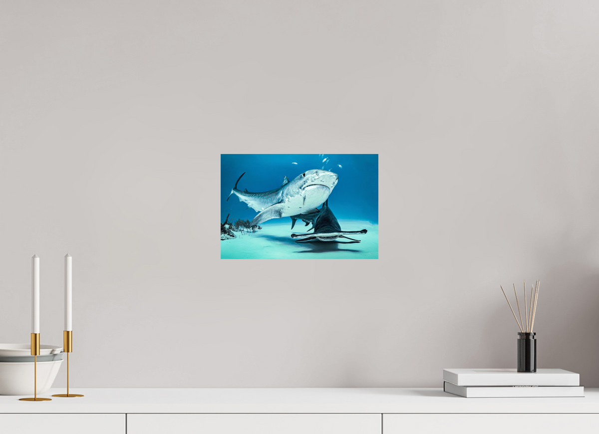 30 x 20 cm, Photo Print On Fuji Crystal DP II Two queens for a Kingdom