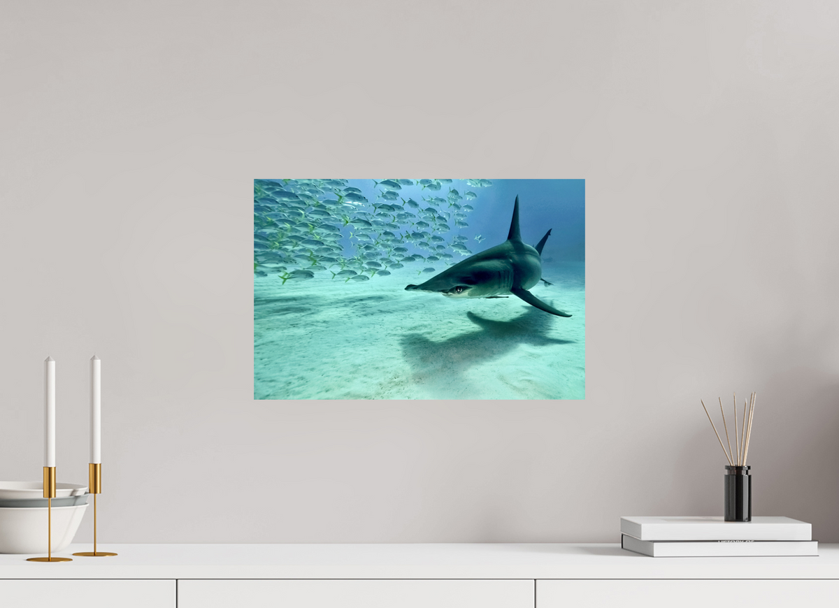 45 x 30 cm, Photo Print On Fuji Crystal DP II The Shadow