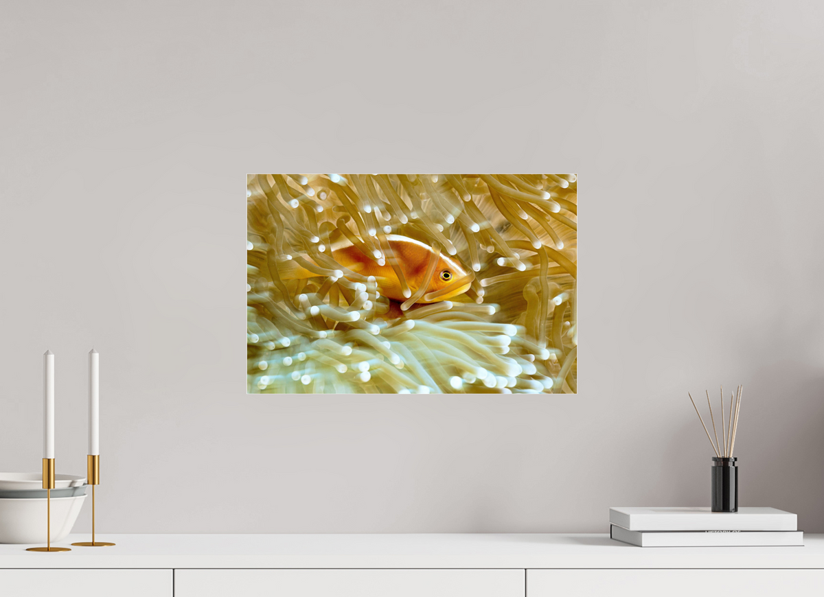 45 x 30 cm, Photo Print Under Acrylic Glass Home