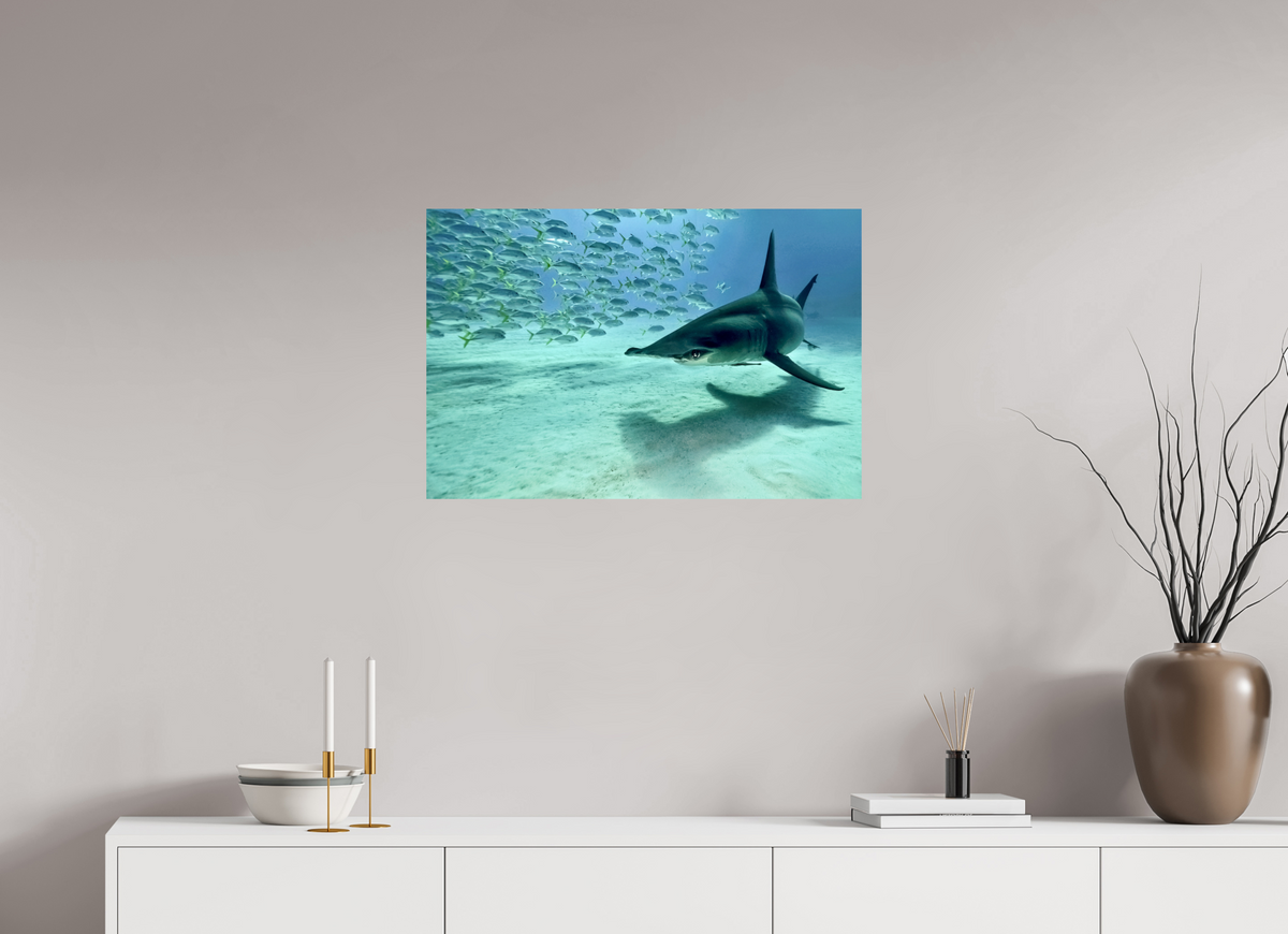75 x 50 cm, Photo Print On Fuji Crystal DP II The Shadow