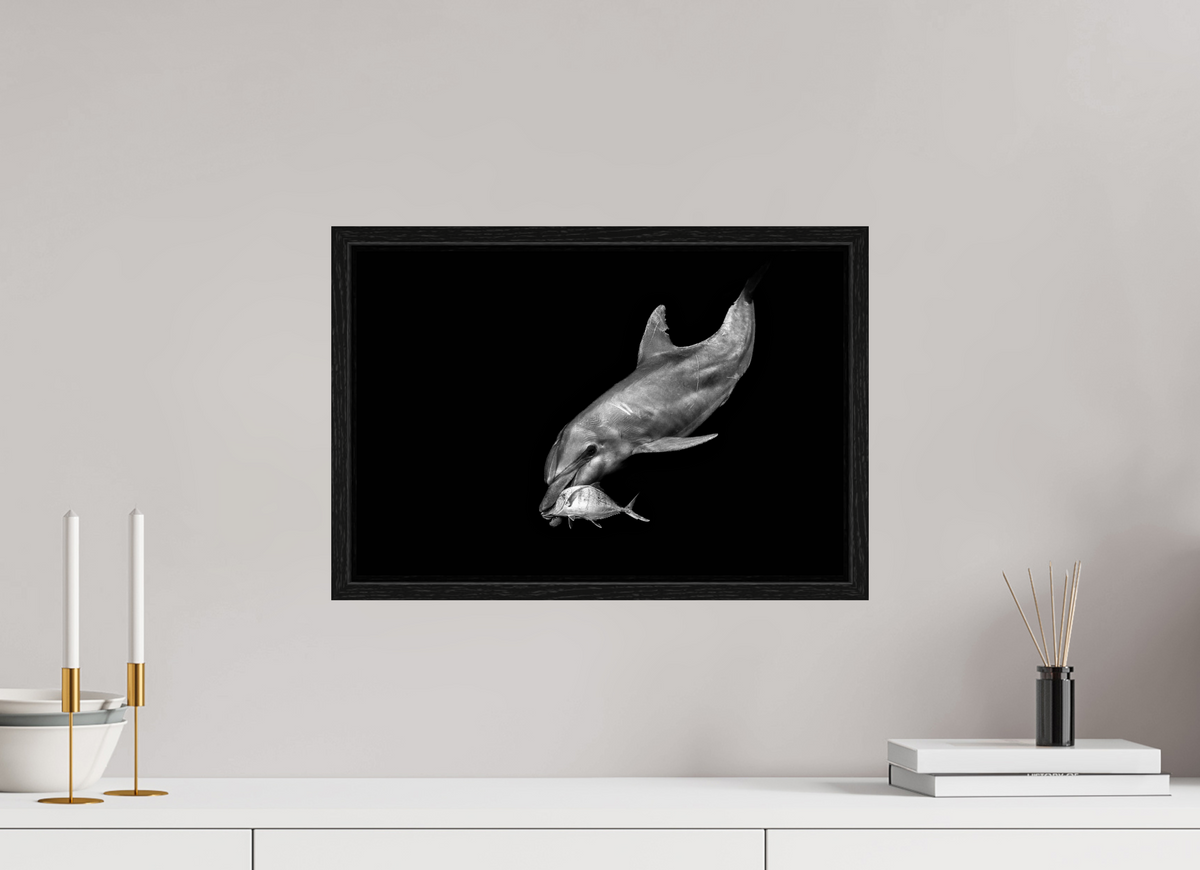 45 x 30 cm, Floater Frame Catch of the Day