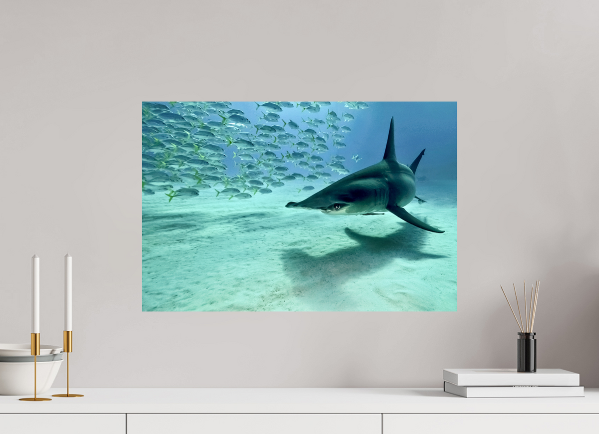 60 x 40 cm, Photo Print On Fuji Crystal DP II The Shadow