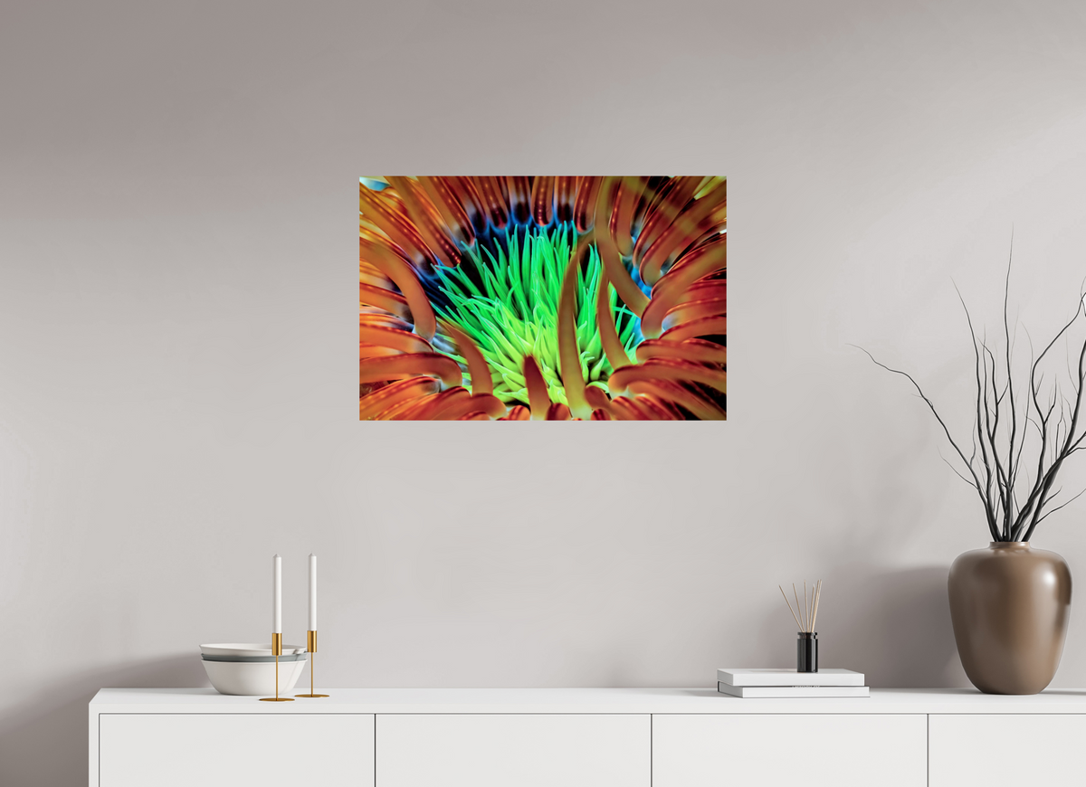 75 x 50 cm, Photo Print On Fuji Crystal DP II United colors