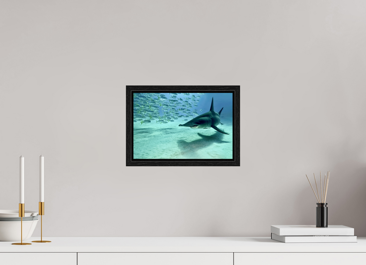 30 x 20 cm, Floater Frame The Shadow