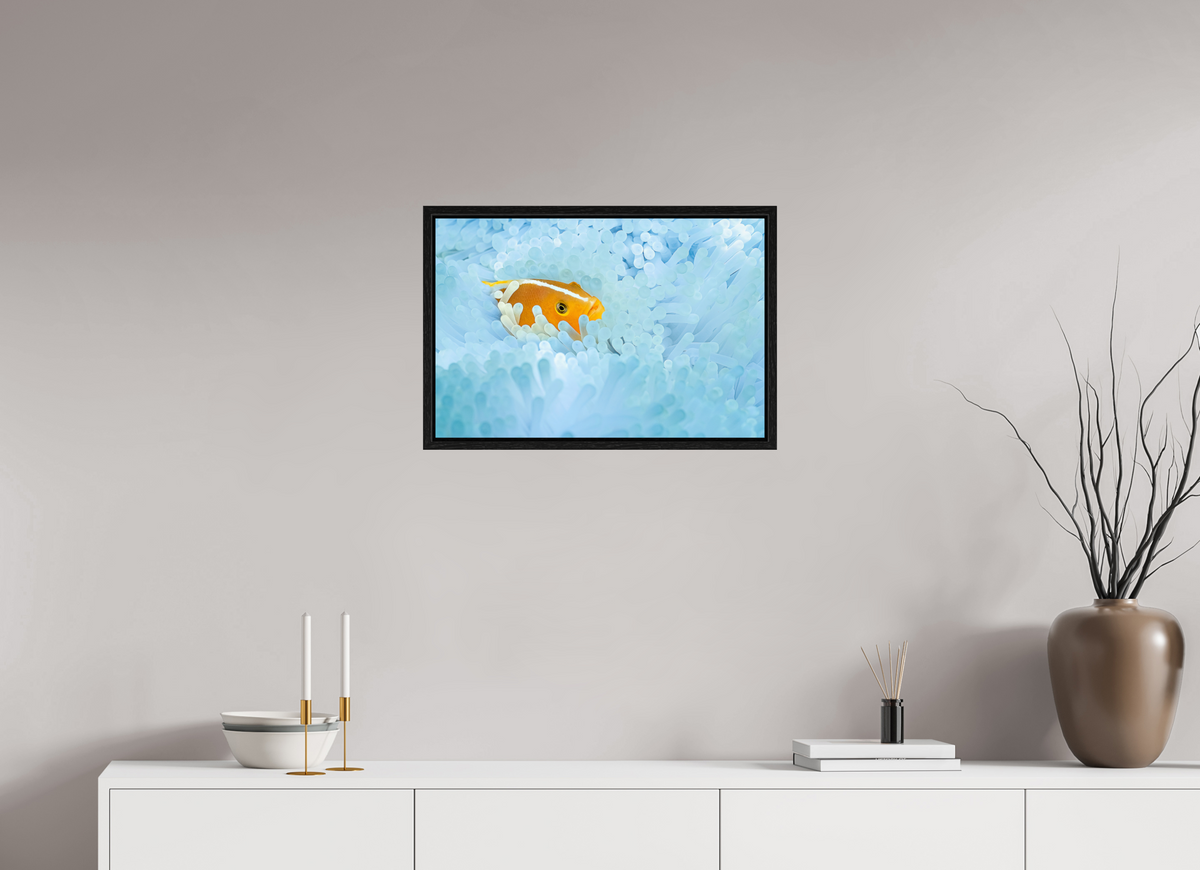 60 x 40 cm, Floater Frame Bleaching