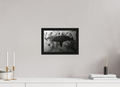 30 x 20 cm, Floater Frame Bullshark Dance