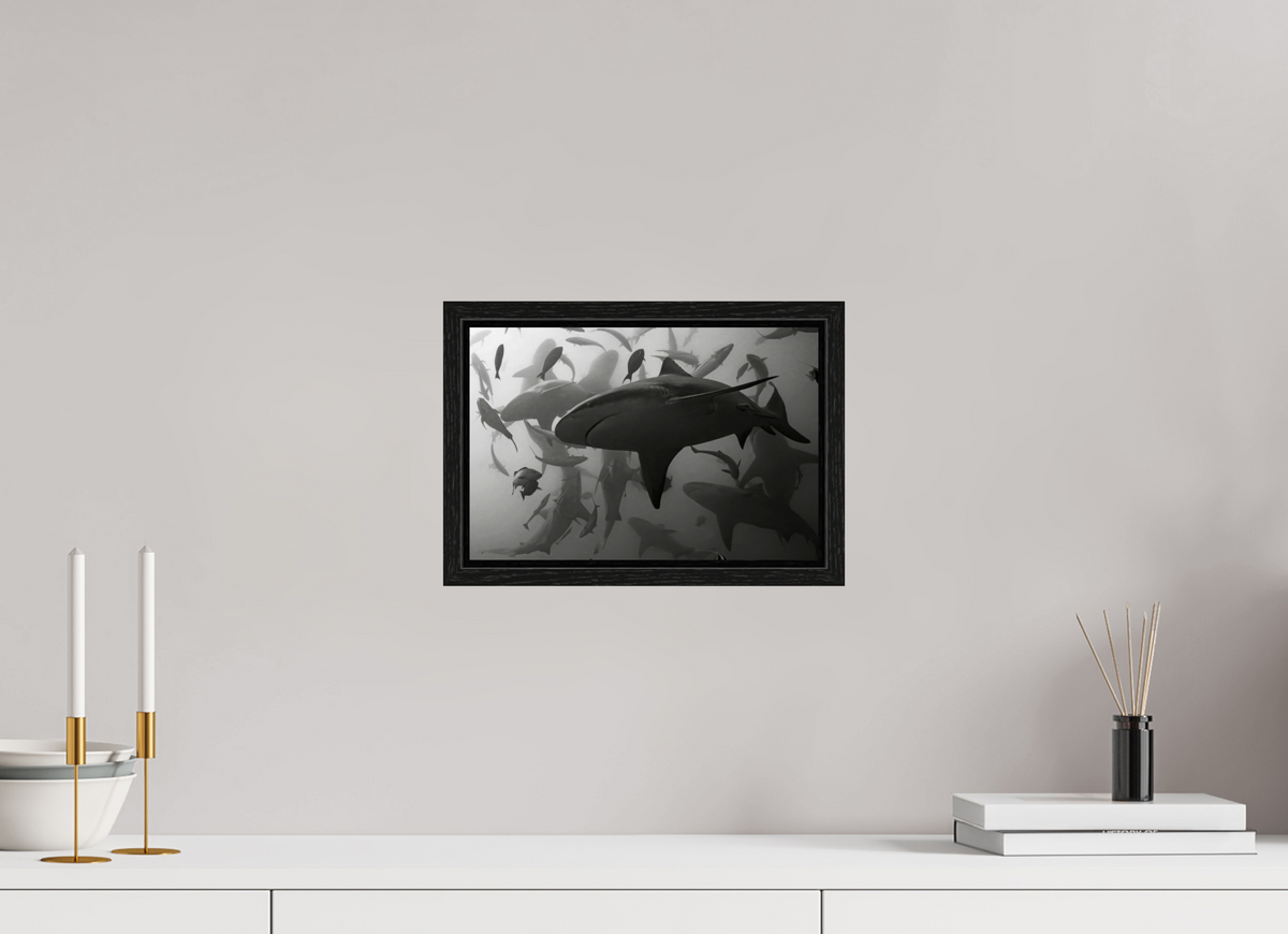 30 x 20 cm, Floater Frame Bullshark Dance